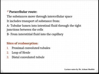 0 Paracellular route:
The substances move through intercellular space
It includes transport of substance from:
A- Tubular lumen into intestinal fluid through the tight
junctions between the cells
B- From interstitial fluid into the capillary
Sites of reabsorption:
1. Proximal convoluted tubules
2. Loop of Henle
3. Distal convoluted tubule
Lecture notes by Dr. Arham Shabbir
 