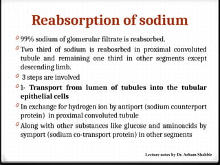 Reabsorption of sodium
0 99% sodium of glomerular filtrate is reabsorbed.
0 Two third of sodium is reabosrbed in proximal convoluted
tubule and remaining one third in other segments except
descending limb.
0 3 steps are involved
0 1- Transport from lumen of tubules into the tubular
epithelial cells
0 In exchange for hydrogen ion by antiport (sodium counterport
protein) in proximal convoluted tubule
0 Along with other substances like glucose and aminoacids by
symport (sodium co-transport protein) in other segments
Lecture notes by Dr. Arham Shabbir
 