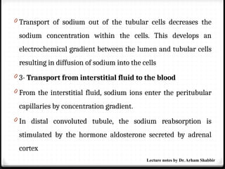 0 Transport of sodium out of the tubular cells decreases the
sodium concentration within the cells. This develops an
electrochemical gradient between the lumen and tubular cells
resulting in diffusion of sodium into the cells
0 3- Transport from interstitial fluid to the blood
0 From the interstitial fluid, sodium ions enter the peritubular
capillaries by concentration gradient.
0 In distal convoluted tubule, the sodium reabsorption is
stimulated by the hormone aldosterone secreted by adrenal
cortex
Lecture notes by Dr. Arham Shabbir
 