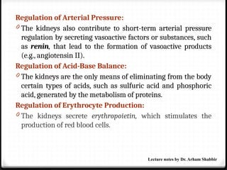 Regulation of Arterial Pressure:
0 The kidneys also contribute to short-term arterial pressure
regulation by secreting vasoactive factors or substances, such
as renin, that lead to the formation of vasoactive products
(e.g., angiotensin II).
Regulation of Acid-Base Balance:
0 The kidneys are the only means of eliminating from the body
certain types of acids, such as sulfuric acid and phosphoric
acid, generated by the metabolism of proteins.
Regulation of Erythrocyte Production:
0 The kidneys secrete erythropoietin, which stimulates the
production of red blood cells.
Lecture notes by Dr. Arham Shabbir
 