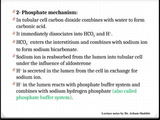 0 2- Phosphate mechanism:
0 In tubular cell carbon dioxide combines with water to form
carbonic acid.
0 It immediately dissociates into HCO3
-
and H+
.
0 HCO3
-
enters the interstitium and combines with sodium ion
to form sodium bicarbonate.
0 Sodium ion is reabsorbed from the lumen into tubular cell
under the influence of aldosterone
0 H+
is secreted in the lumen from the cell in exchange for
sodium ion.
0 H+
in the lumen reacts with phosphate buffer system and
combines with sodium hydrogen phosphate (also called
phosphate buffer system).
Lecture notes by Dr. Arham Shabbir
 