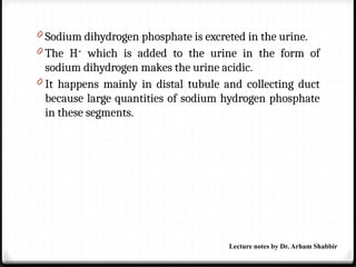 0 Sodium dihydrogen phosphate is excreted in the urine.
0 The H+
which is added to the urine in the form of
sodium dihydrogen makes the urine acidic.
0 It happens mainly in distal tubule and collecting duct
because large quantities of sodium hydrogen phosphate
in these segments.
Lecture notes by Dr. Arham Shabbir
 