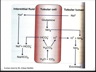 Lecture notes by Dr. Arham Shabbir
 