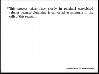 0 This process takes place mostly in proximal convoluted
tubules because glutamine is converted to ammonia in the
cells of this segment.
Lecture notes by Dr. Arham Shabbir
 