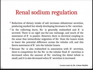 Renal sodium regulation
0 Reduction of dietary intake of salt increases aldosterone secretion,
producing marked but slowly developing decreases in Na+
excretion.
0 In the collecting ducts, Na+
is generally reabsorbed and K+
is
secreted. There is no rigid one-for-one exchange, and much of the
movement of K+
is passive. However, there is electrical coupling in
the sense that intracellular migration of Na+
from the lumen tends
to lower the potential difference across the tubular cell, and this
favors movement of K+
into the tubular lumen.
0 Because Na+
is also reabsorbed in association with H+
secretion,
there is competition for the Na+
in the tubular fluid. K+
excretion is
decreased when the amount of Na+
reaching the distal tubule is
small, and it is also decreased when H+
secretion is increased.
Lecture notes by Dr. Arham Shabbir
 