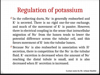 Regulation of potassium
0 In the collecting ducts, Na+
is generally reabsorbed and
K+
is secreted. There is no rigid one-for-one exchange,
and much of the movement of K+
is passive. However,
there is electrical coupling in the sense that intracellular
migration of Na+
from the lumen tends to lower the
potential difference across the tubular cell, and this
favors movement of K+
into the tubular lumen.
0 Because Na+
is also reabsorbed in association with H+
secretion, there is competition for the Na+
in the tubular
fluid. K+
excretion is decreased when the amount of Na+
reaching the distal tubule is small, and it is also
decreased when H+
secretion is increased.
Lecture notes by Dr. Arham Shabbir
 