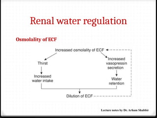 Renal water regulation
Osmolality of ECF
Lecture notes by Dr. Arham Shabbir
 