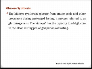 Glucose Synthesis:
0 The kidneys synthesize glucose from amino acids and other
precursors during prolonged fasting, a process referred to as
gluconeogenesis. The kidneys’ has the capacity to add glucose
to the blood during prolonged periods of fasting.
Lecture notes by Dr. Arham Shabbir
 
