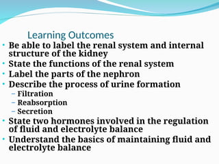 Learning Outcomes
• Be able to label the renal system and internal
structure of the kidney
• State the functions of the renal system
• Label the parts of the nephron
• Describe the process of urine formation
– Filtration
– Reabsorption
– Secretion
• State two hormones involved in the regulation
of fluid and electrolyte balance
• Understand the basics of maintaining fluid and
electrolyte balance
 