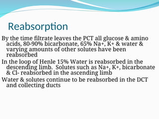 Reabsorption
By the time filtrate leaves the PCT all glucose & amino
acids, 80-90% bicarbonate, 65% Na+, K+ & water &
varying amounts of other solutes have been
reabsorbed
In the loop of Henle 15% Water is reabsorbed in the
descending limb. Solutes such as Na+, K+, bicarbonate
& Cl- reabsorbed in the ascending limb
Water & solutes continue to be reabsorbed in the DCT
and collecting ducts
 