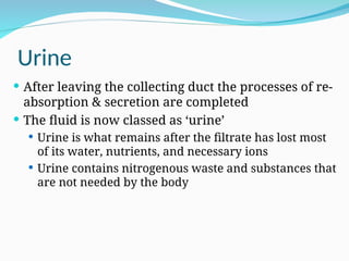 Urine
 After leaving the collecting duct the processes of re-
absorption & secretion are completed
 The fluid is now classed as ‘urine’
 Urine is what remains after the filtrate has lost most
of its water, nutrients, and necessary ions
 Urine contains nitrogenous waste and substances that
are not needed by the body
 