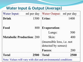 Water Input & Output (Average)
Water Input: ml per day Water Output: ml per day
Drink 1500
Food 800
Metabolic Production: 200
Urine: 1400
Evaporation:
Lungs: 500
Skin: 400
(insensible loss, i.e. not
detected by senses)
Faeces: 200
Total 2500 Total 2500
Note: Values will vary with diet and environmental conditions
 