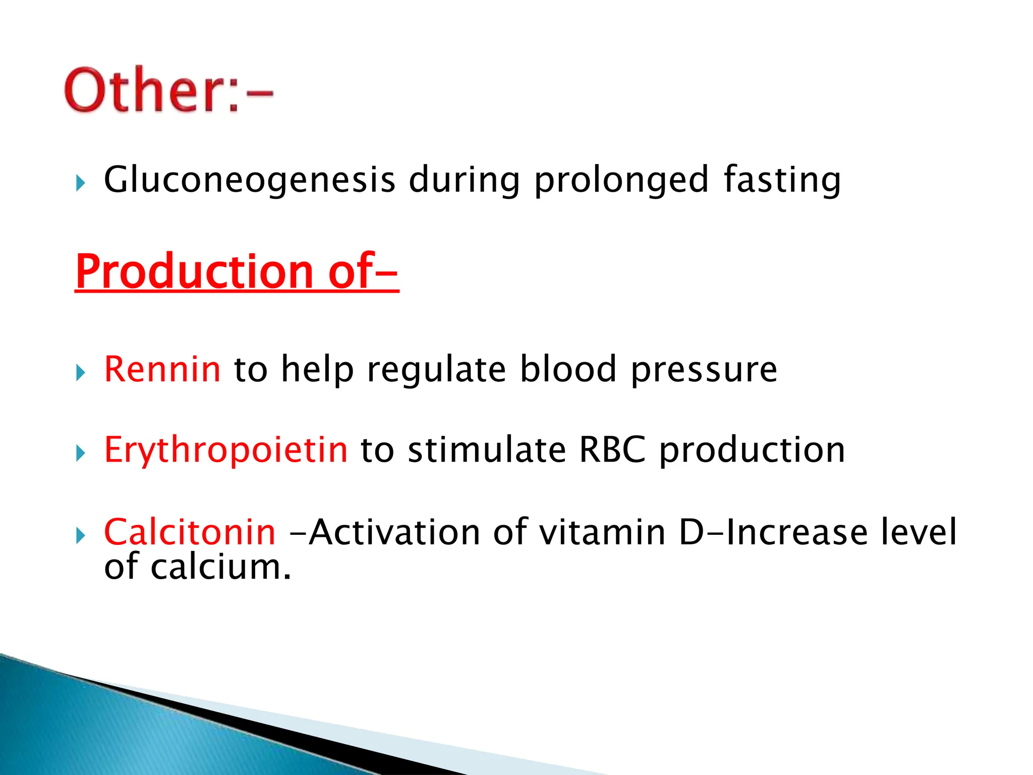  Gluconeogenesis during prolonged fasting
Production of-
 Rennin to help regulate blood pressure
 Erythropoietin to stimulate RBC production
 Calcitonin -Activation of vitamin D-Increase level
of calcium.
 