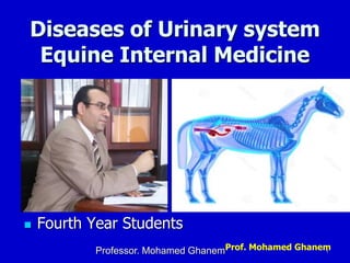Prof. Mohamed Ghanem
Diseases of Urinary system
Equine Internal Medicine
 Fourth Year Students
Professor. Mohamed Ghanem 1
 