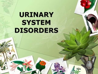 URINARY SYSTEM DISORDERS 