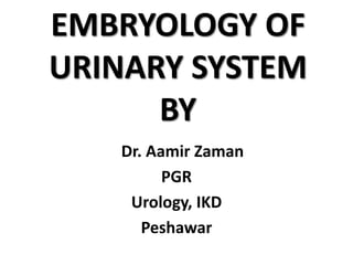 EMBRYOLOGY OF
URINARY SYSTEM
BY
Dr. Aamir Zaman
PGR
Urology, IKD
Peshawar
 
