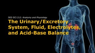 The Urinary/Excretory
System, Fluid, Electrolytes,
and Acid-Base Balance
SED SCI 212: Anatomy and Physiology
 