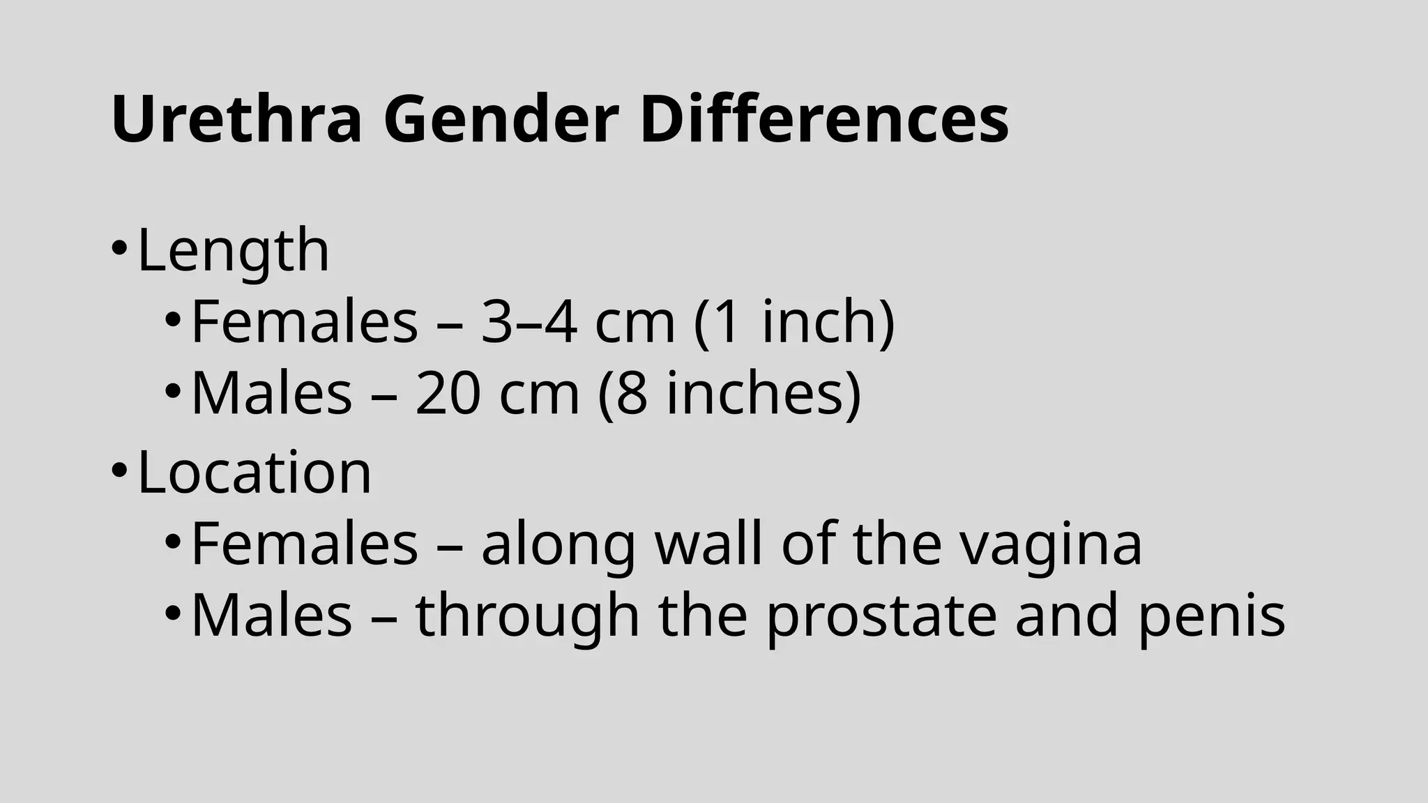 Urethra Gender Differences
•Length
•Females – 3–4 cm (1 inch)
•Males – 20 cm (8 inches)
•Location
•Females – along wall of the vagina
•Males – through the prostate and penis
 