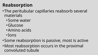 Reabsorption
•The peritubular capillaries reabsorb several
materials
•Some water
•Glucose
•Amino acids
•Ions
•Some reabsorption is passive, most is active
•Most reabsorption occurs in the proximal
convoluted tubule
 