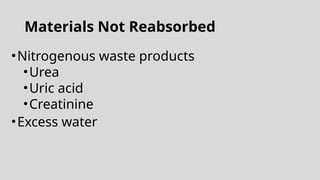 Materials Not Reabsorbed
•Nitrogenous waste products
•Urea
•Uric acid
•Creatinine
•Excess water
 