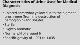 Characteristics of Urine Used for Medical
Diagnosis
•Colored somewhat yellow due to the pigment
urochrome (from the destruction of
hemoglobin) and solutes
•Sterile
•Slightly aromatic
•Normal pH of around 6
•Specific gravity of 1.001 to 1.035
 