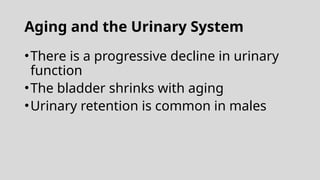 Aging and the Urinary System
•There is a progressive decline in urinary
function
•The bladder shrinks with aging
•Urinary retention is common in males
 