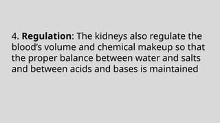 4. Regulation: The kidneys also regulate the
blood’s volume and chemical makeup so that
the proper balance between water and salts
and between acids and bases is maintained
 