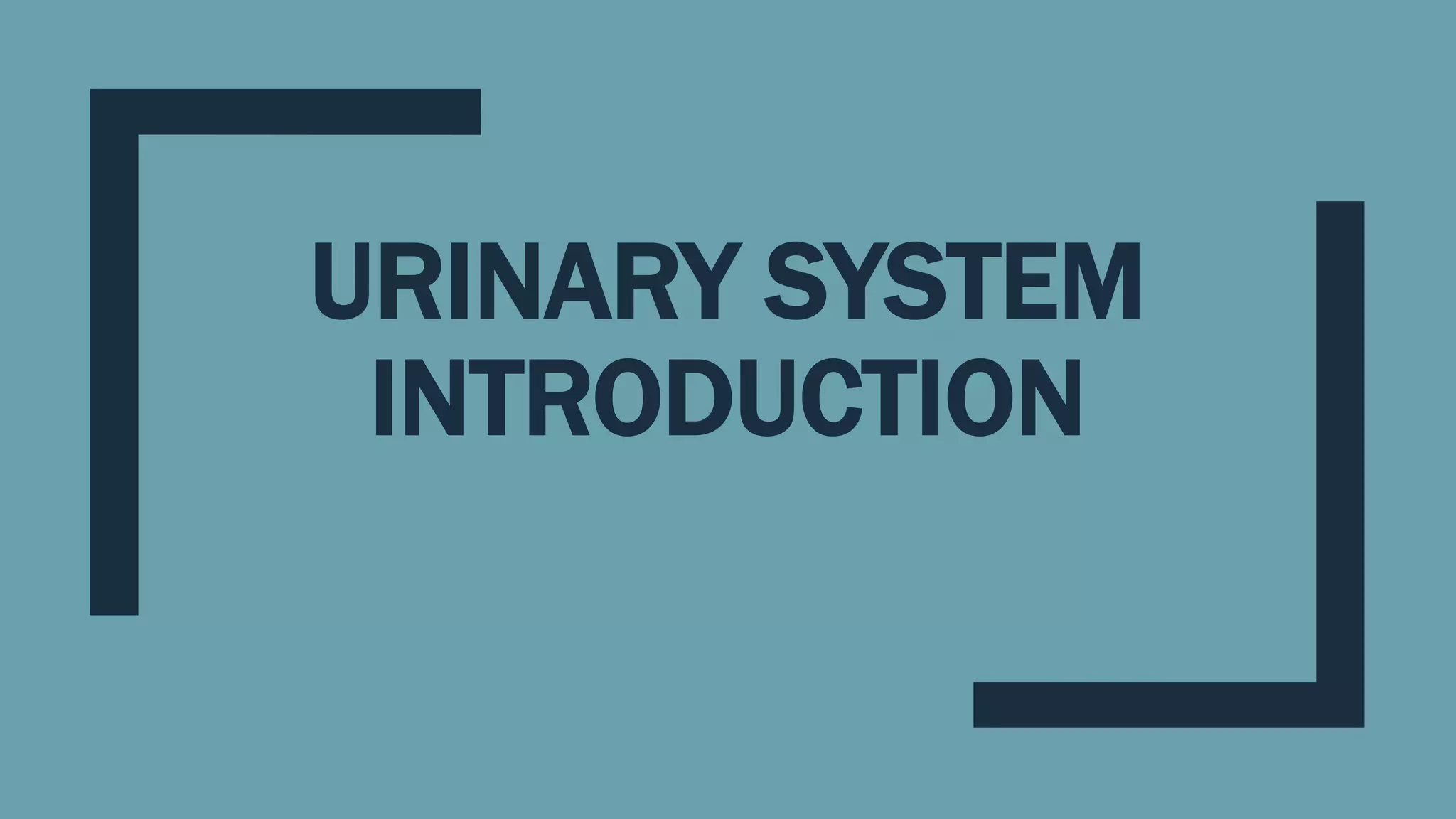 URINARY SYSTEM
INTRODUCTION
 
