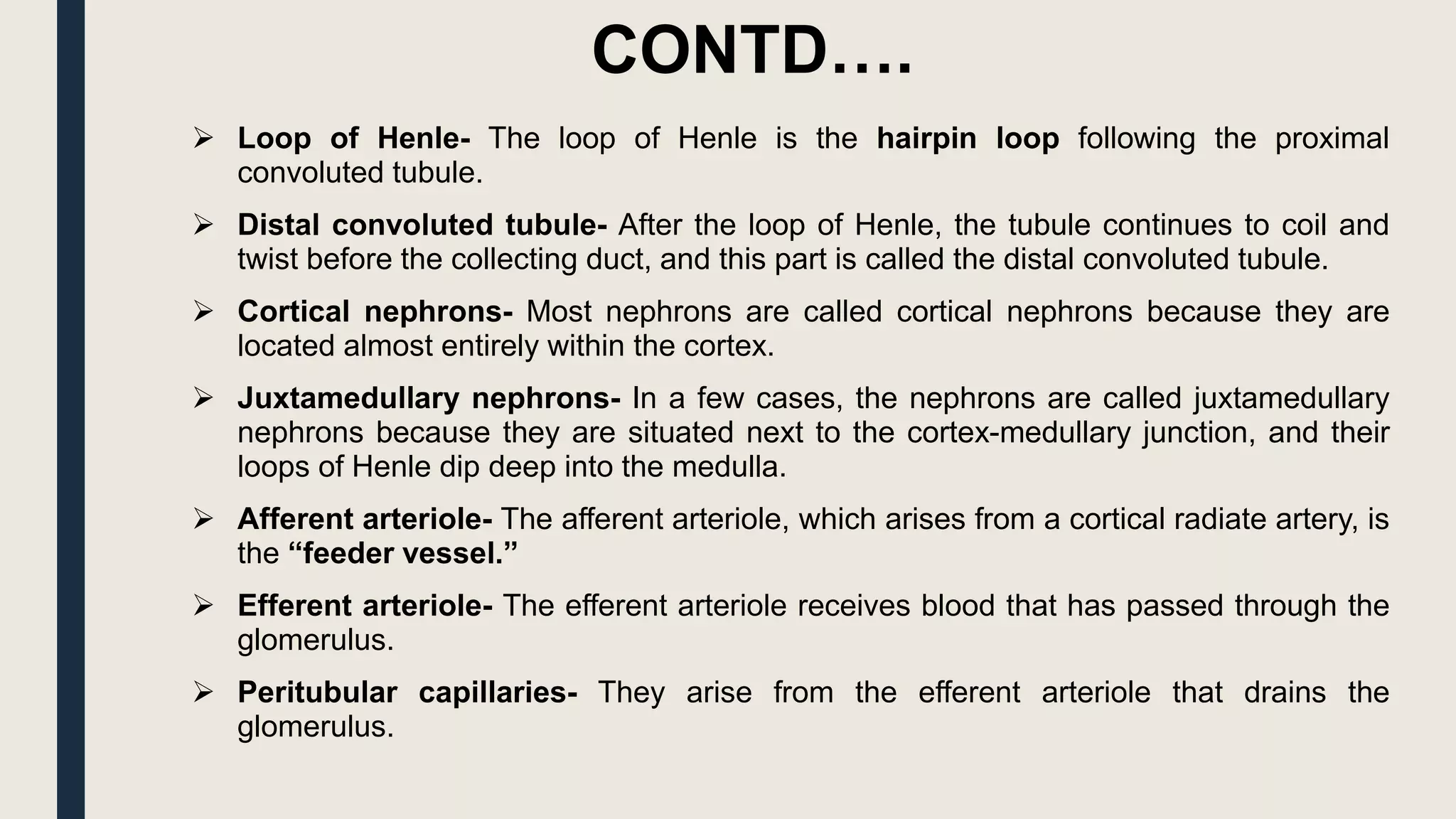  Loop of Henle- The loop of Henle is the hairpin loop following the proximal
convoluted tubule.
 Distal convoluted tubule- After the loop of Henle, the tubule continues to coil and
twist before the collecting duct, and this part is called the distal convoluted tubule.
 Cortical nephrons- Most nephrons are called cortical nephrons because they are
located almost entirely within the cortex.
 Juxtamedullary nephrons- In a few cases, the nephrons are called juxtamedullary
nephrons because they are situated next to the cortex-medullary junction, and their
loops of Henle dip deep into the medulla.
 Afferent arteriole- The afferent arteriole, which arises from a cortical radiate artery, is
the “feeder vessel.”
 Efferent arteriole- The efferent arteriole receives blood that has passed through the
glomerulus.
 Peritubular capillaries- They arise from the efferent arteriole that drains the
glomerulus.
CONTD….
 