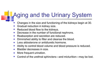 Aging and the Urinary System
■
■
■
■
■
■
■
■
■
■
■
Changes in the size and functioning of the kidneys begin at 30.
Gradual reduction in kidney size.
Reduced blood flow to the kidneys.
Decrease in the number of functional nephrons.
Reabsorption and secretion are reduced.
Diminished ability to filter and cleanse the blood.
Less aldosterone or antidiuretic hormone.
Ability to control blood volume and blood pressure is reduced.
Bladder decreases in size.
More frequent urination.
Control of the urethral sphincters—and micturition—may be lost.
 