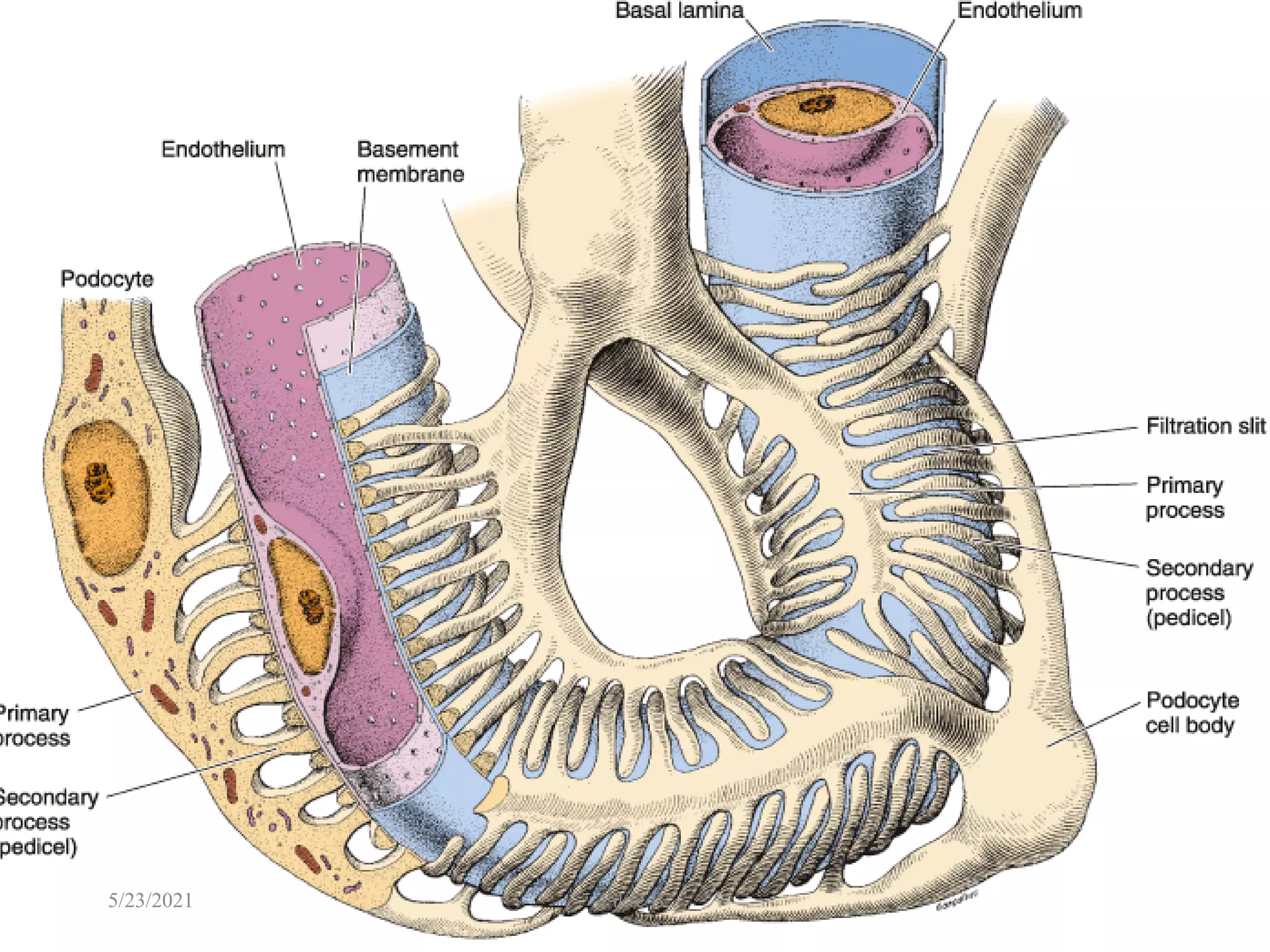 28
5/23/2021 Fikre B.
 