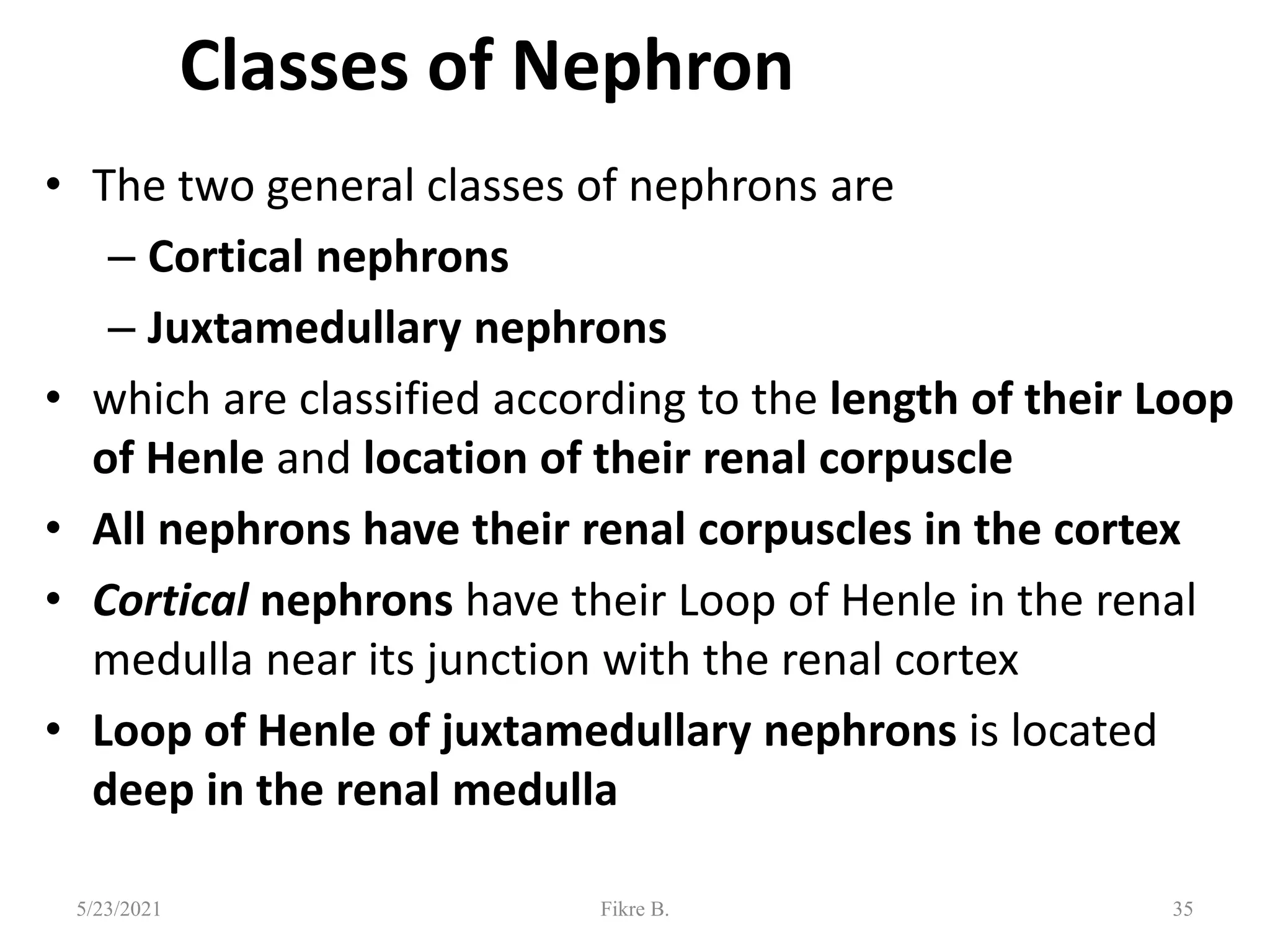 Classes of Nephron
• The two general classes of nephrons are
– Cortical nephrons
– Juxtamedullary nephrons
• which are classified according to the length of their Loop
of Henle and location of their renal corpuscle
• All nephrons have their renal corpuscles in the cortex
• Cortical nephrons have their Loop of Henle in the renal
medulla near its junction with the renal cortex
• Loop of Henle of juxtamedullary nephrons is located
deep in the renal medulla
35
5/23/2021 Fikre B.
 