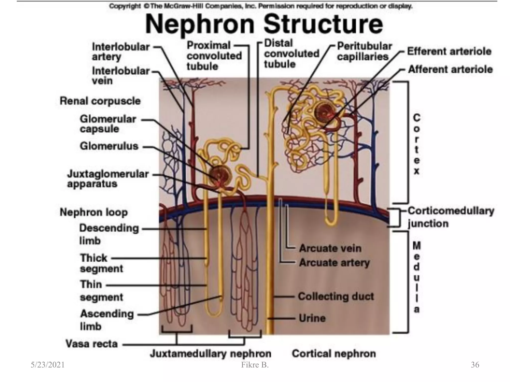 36
5/23/2021 Fikre B.
 