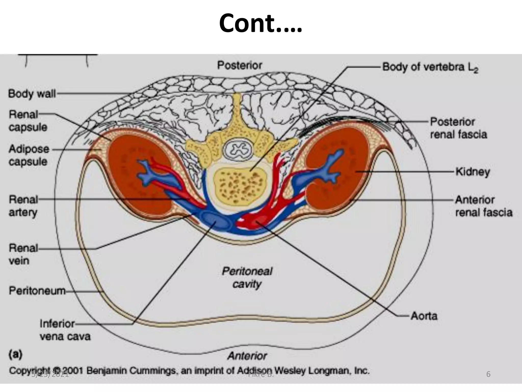 Cont.…
5/23/2021 Fikre B. 6
 