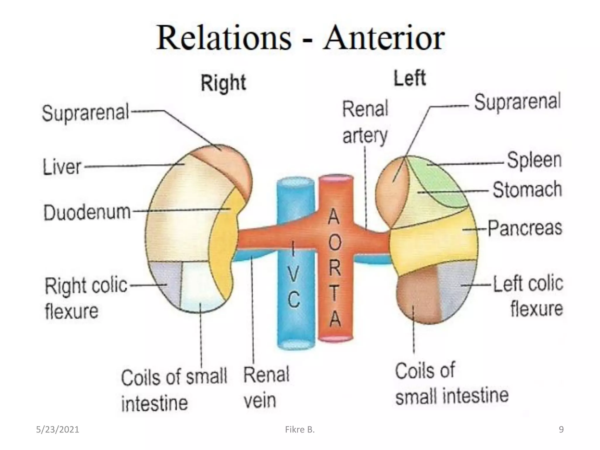 5/23/2021 Fikre B. 9
 