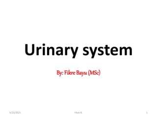 Urinary system
By: Fikre Bayu(MSc)
5/23/2021 Fikre B. 1
 