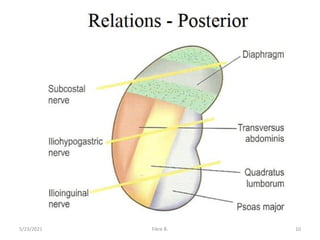 5/23/2021 Fikre B. 10
 
