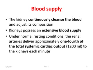Blood supply
• The kidney continuously cleanse the blood
and adjust its composition
• Kidneys possess an extensive blood supply
• Under normal resting conditions, the renal
arteries deliver approximately one-fourth of
the total systemic cardiac output (1200 ml) to
the kidneys each minute
5/23/2021 Fikre B. 16
 