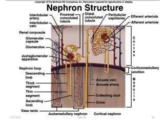 36
5/23/2021 Fikre B.
 