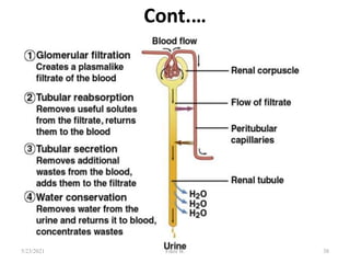 Cont.…
38
5/23/2021 Fikre B.
 
