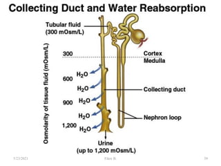 39
5/23/2021 Fikre B.
 