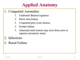 41
5/23/2021 Fikre B.
 