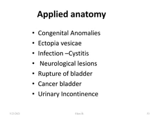 Applied anatomy
• Congenital Anomalies
• Ectopia vesicae
• Infection –Cystitis
• Neurological lesions
• Rupture of bladder
• Cancer bladder
• Urinary Incontinence
53
5/23/2021 Fikre B.
 