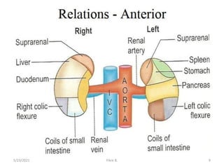 5/23/2021 Fikre B. 9
 