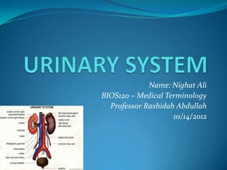 Name: Nighat Ali
BIOS120 – Medical Terminology
  Professor Rashidah Abdullah
                    10/14/2012
 