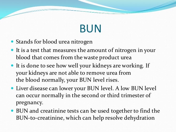 Urinary system medical term