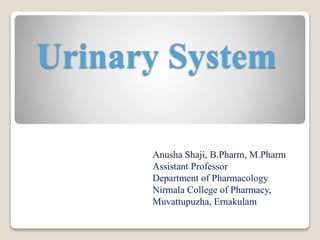 Urinary System
Anusha Shaji, B.Pharm, M.Pharm
Assistant Professor
Department of Pharmacology
Nirmala College of Pharmacy,
Muvattupuzha, Ernakulam
 