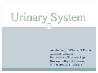Urinary System
Anusha Shaji, B.Pharm, M.Pharm
Assistant Professor
Department of Pharmacology
Nirmala College of Pharmacy,
Muvattupuzha, Ernakulam
 