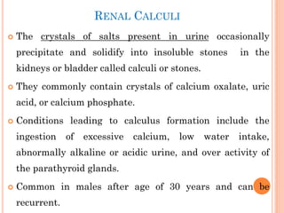 Salt Bladder Urinary System_pdf.pdf Urinary System_pdf.pdf
