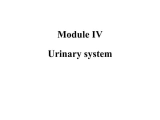 Module ΙV
Urinary system
 